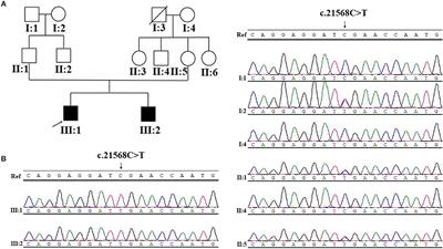 Identifying SYNE1 Ataxia With Novel Mutations in a Chinese Population